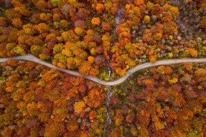 La magia del foliage in Oasi Zegna, incanto d'autunno