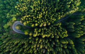 How to reach Oasi Zegna and Bielmonte