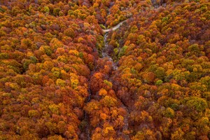 Autumn at Oasi Zegna
