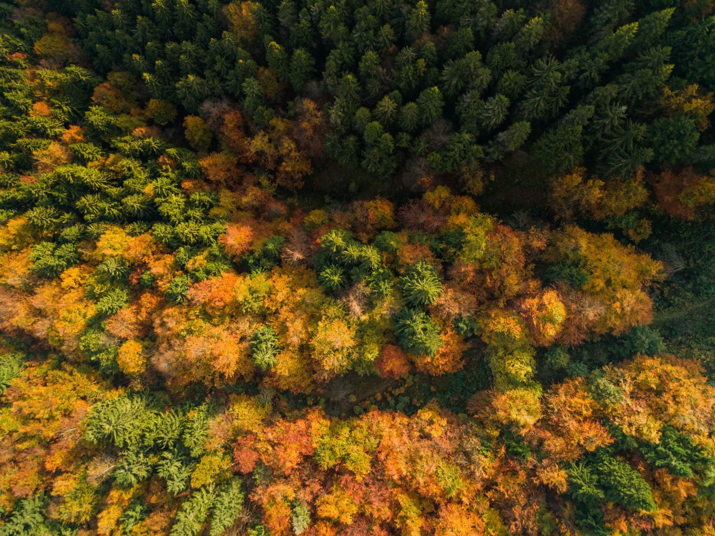 VIVI LA MAGIA DEI COLORI DELL'AUTUNNO