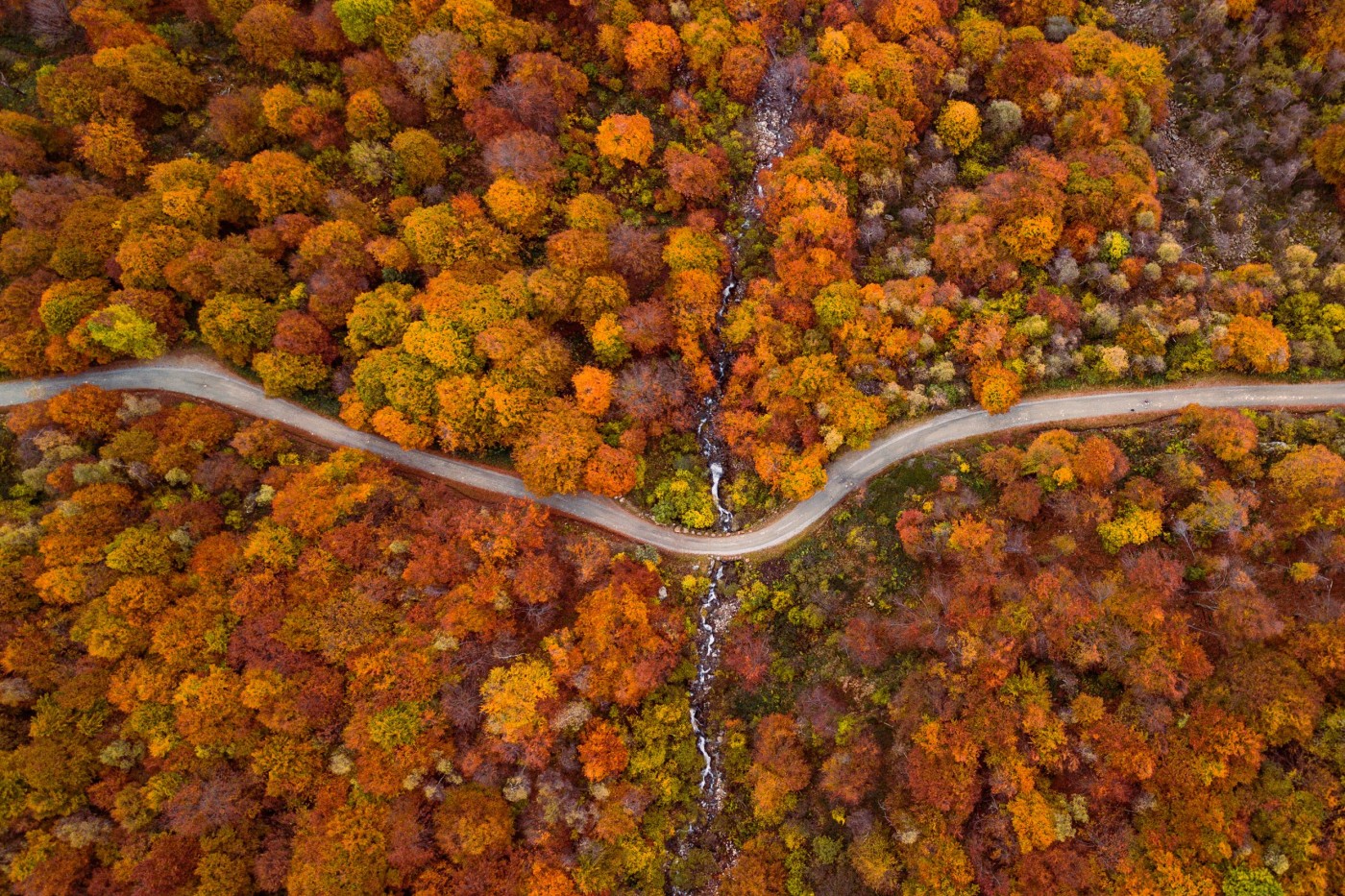 LA MAGIA DEL FOLIAGE: INCANTO D'AUTUNNO