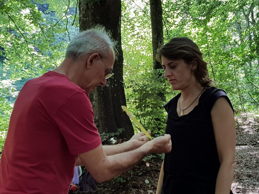 Il coautore del libro La terapia segreta degli alberi, Marco Nieri